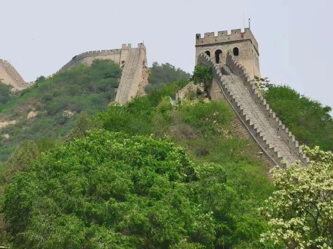 不负韶华 再次出发︱格调装饰2020年度优秀员工旅行圆满结束!